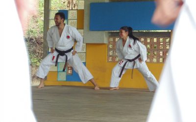 Beneficios del karate para la vida actual