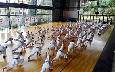 ¿Quieres Ser Más Flexible? Descubre Cómo el Karate Puede Ayudarte